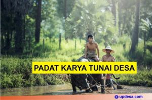 padat karya tunai