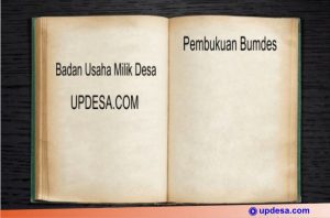 pembukuan bumdes