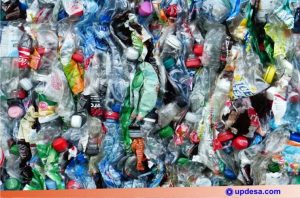 bank sampah