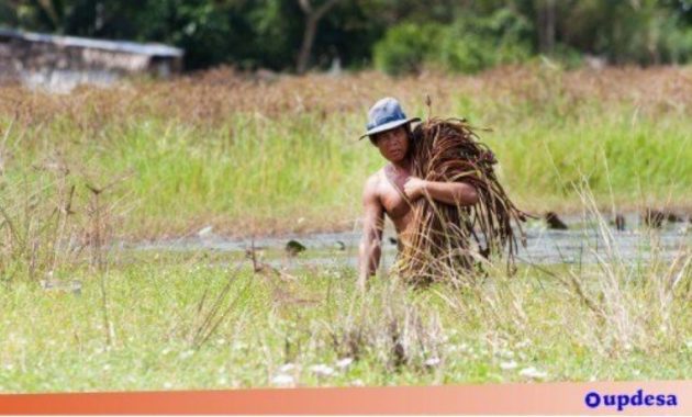 klasifikasi desa menurut mata pencaharianya