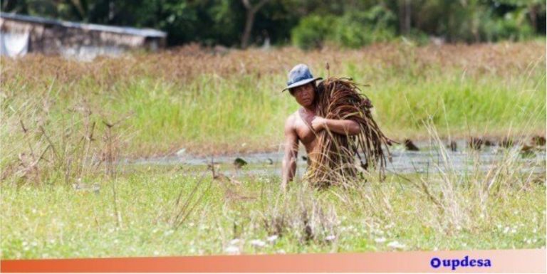 klasifikasi desa menurut mata pencaharianya