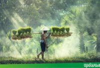 Kehidupan Masyarakat Desa