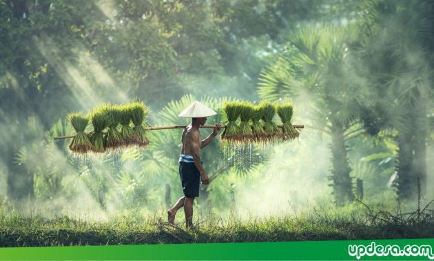 Kehidupan Masyarakat Desa