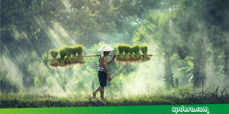 Kehidupan Masyarakat Desa