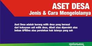 jenis aset desa