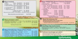 Prioritas Dana Desa 2021 Bidang Padat Karya Tunai Desa