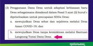 adaptasi kebiasaan baru desa