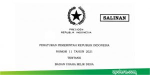 PP 11 Tahun 2021