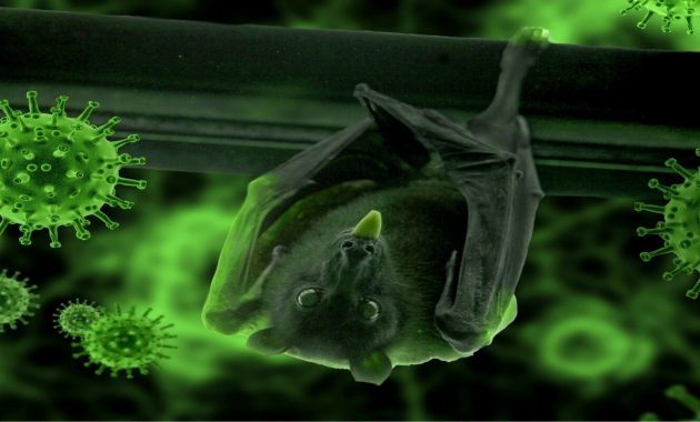 Dana Desa untuk Covid