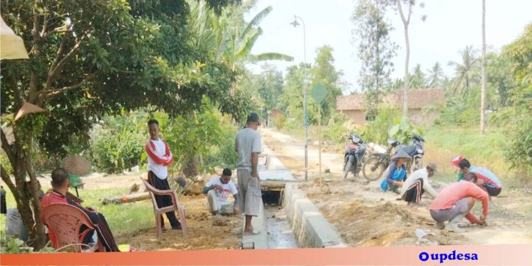 Pelestarian dan Pemanfaatan Hasil Kegiatan Pembangunan Desa