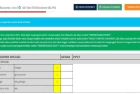 Kuisioner IDM 2022 Excel
