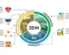 Updating IDM 2022