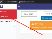 download kuisioner idm 2023