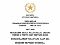 revisi undang-undang desa