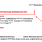 Surat Lamaran Kerja PLD 2023