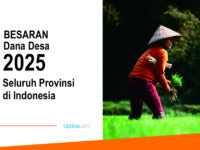 dana desa 2025