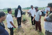 Status Pendamping Desa akan Dinaikkan jadi PPPK