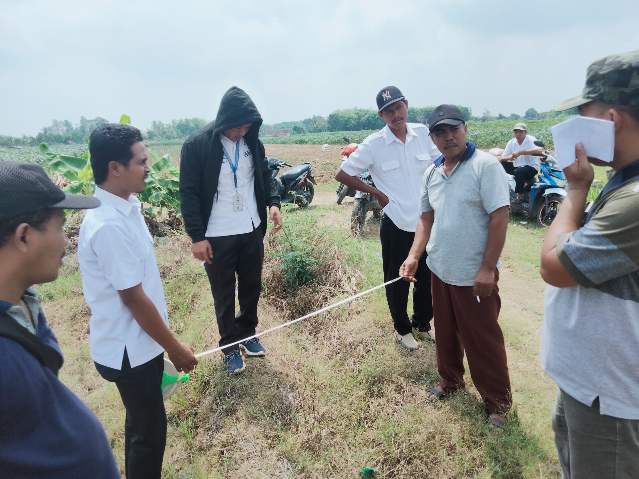 Status Pendamping Desa akan Dinaikkan jadi PPPK