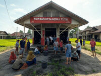 koperasi desa merah putih